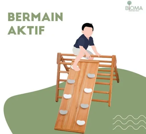 BIOMA Pikler Wall Climbing and Slide 5